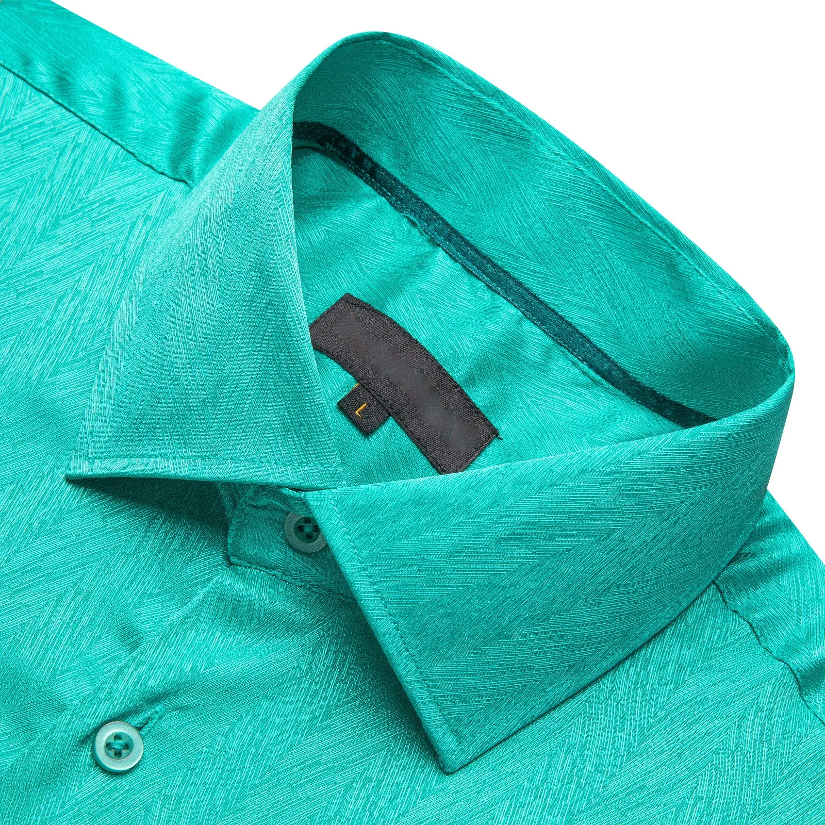 Aqua Green Novelty Silk Men's Long Sleeve Shirt