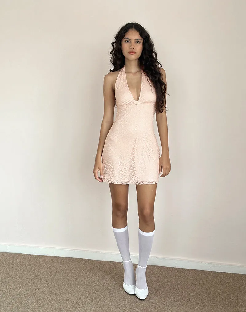 Codami Halterneck Mini Dress in Lace Lotus Pink