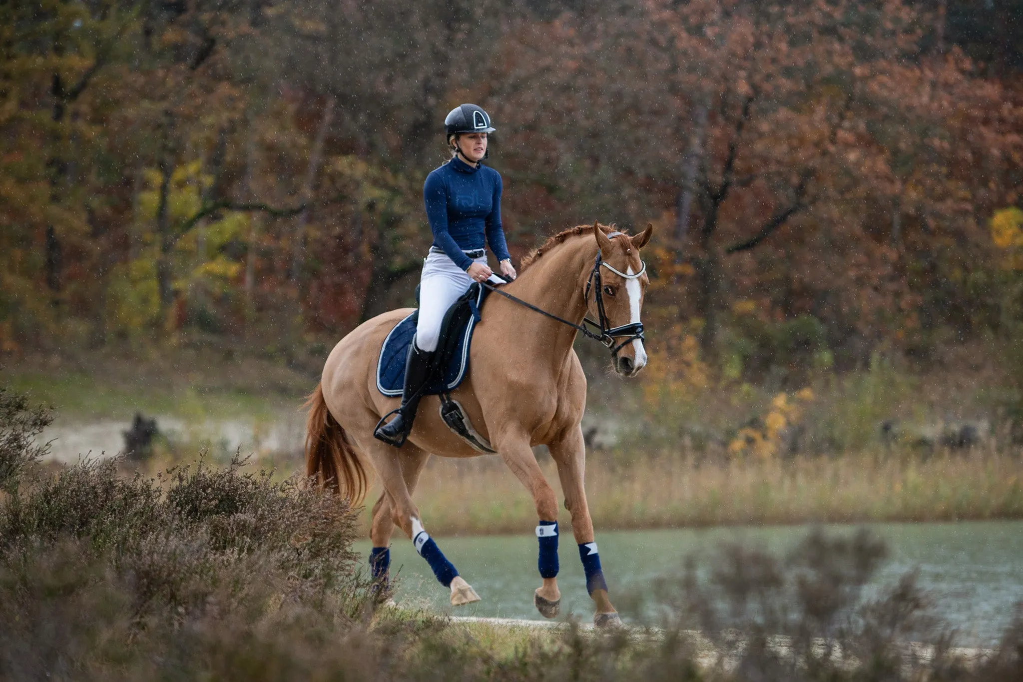 Equestroom Blue Astra Polo Wraps