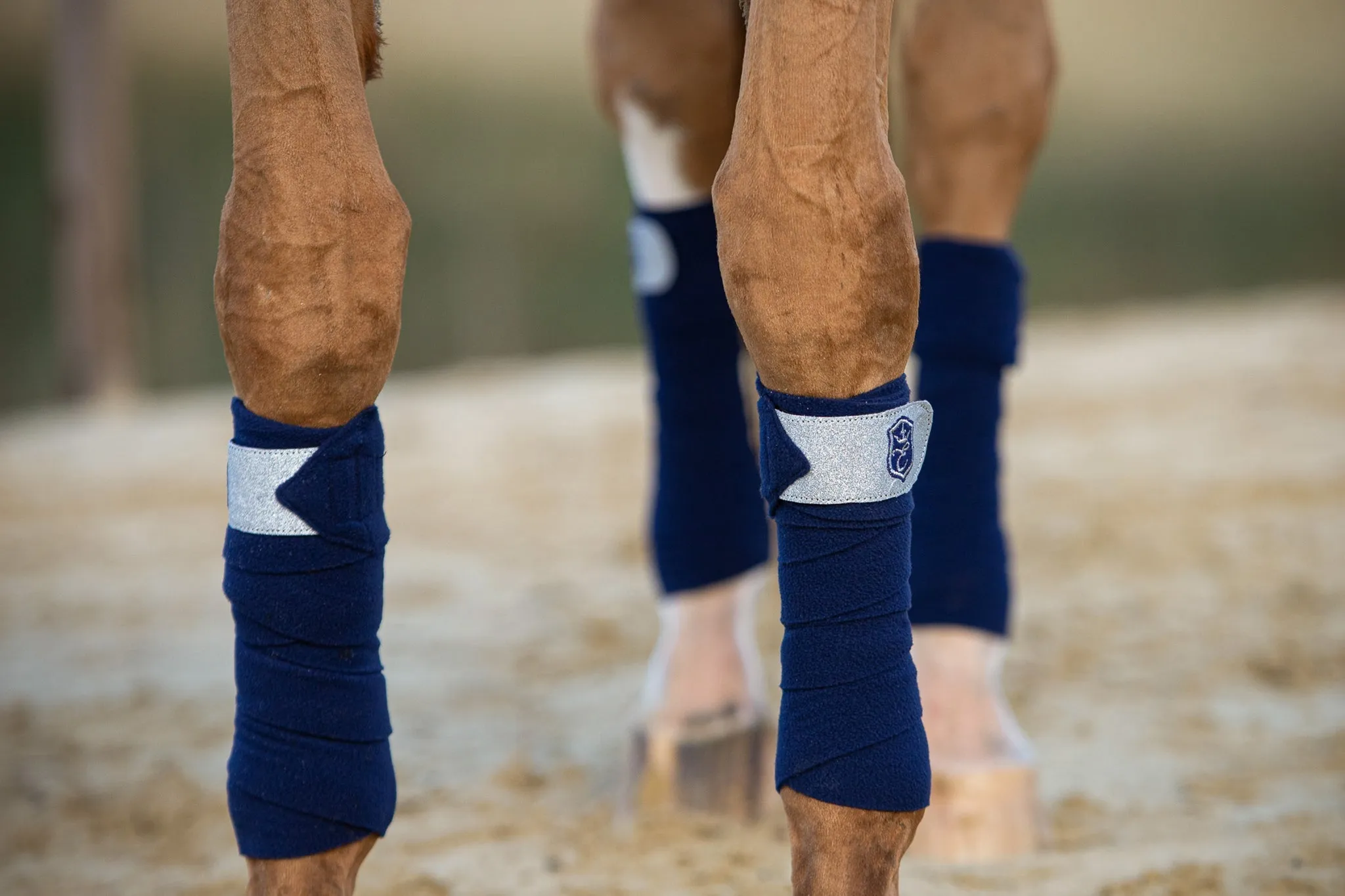 Equestroom Blue Astra Polo Wraps