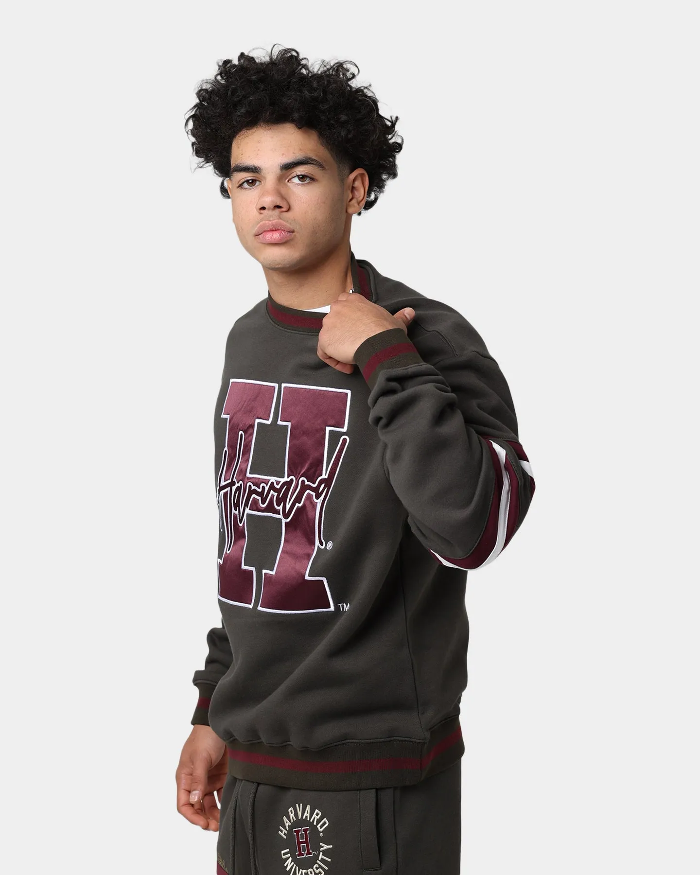 National Collegiate Athletic Association Harvard Letter Mark Panel Crewneck Steel