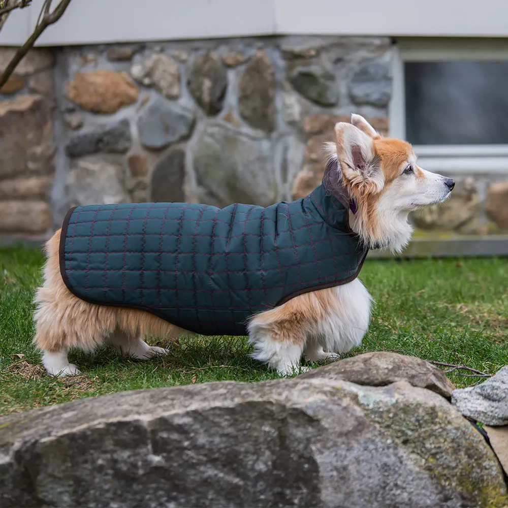 Paco & Lucia - Dark Green Waterproof Dog Coat