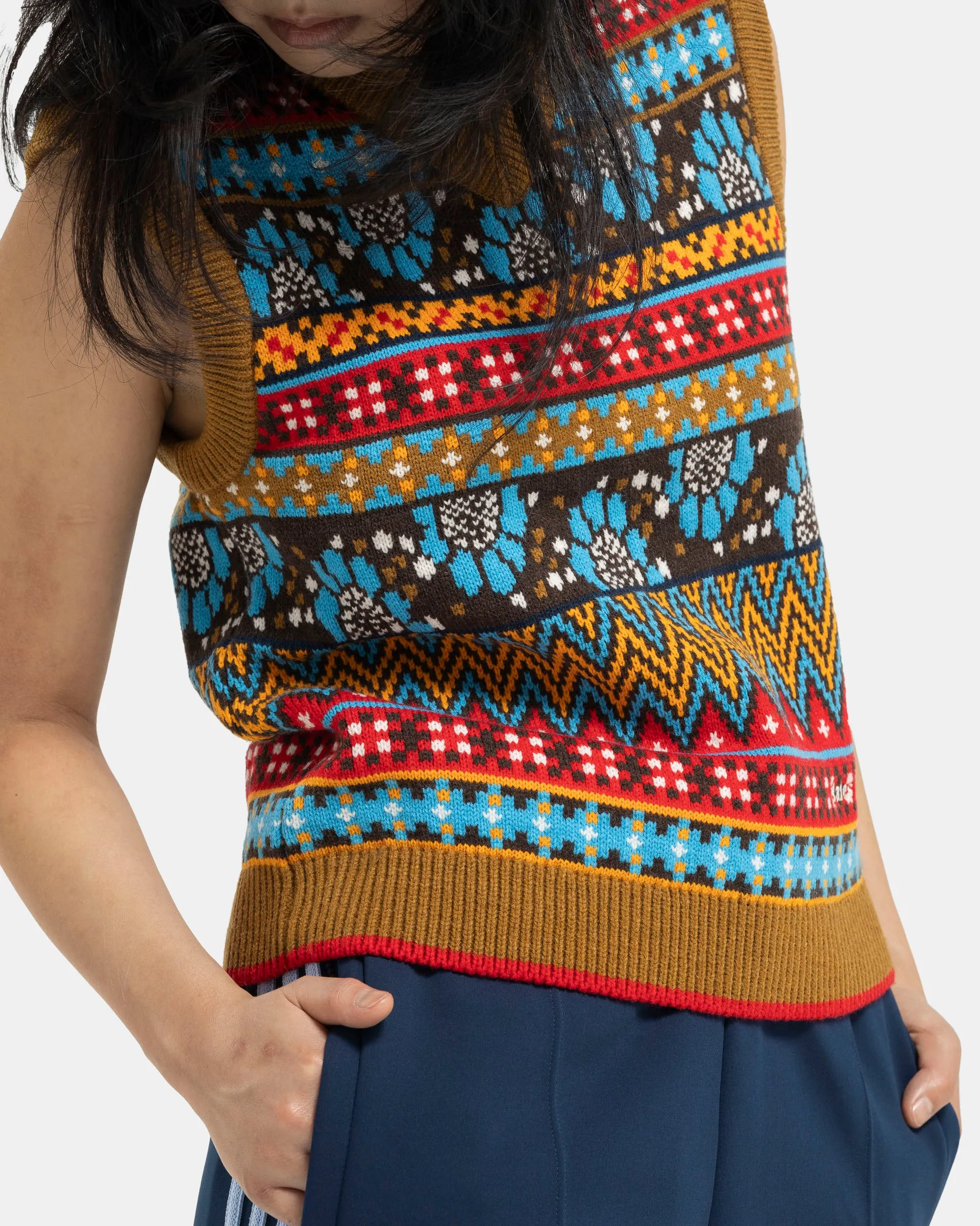 Wales Bonner x Adidas Knit Vest in Multicolor