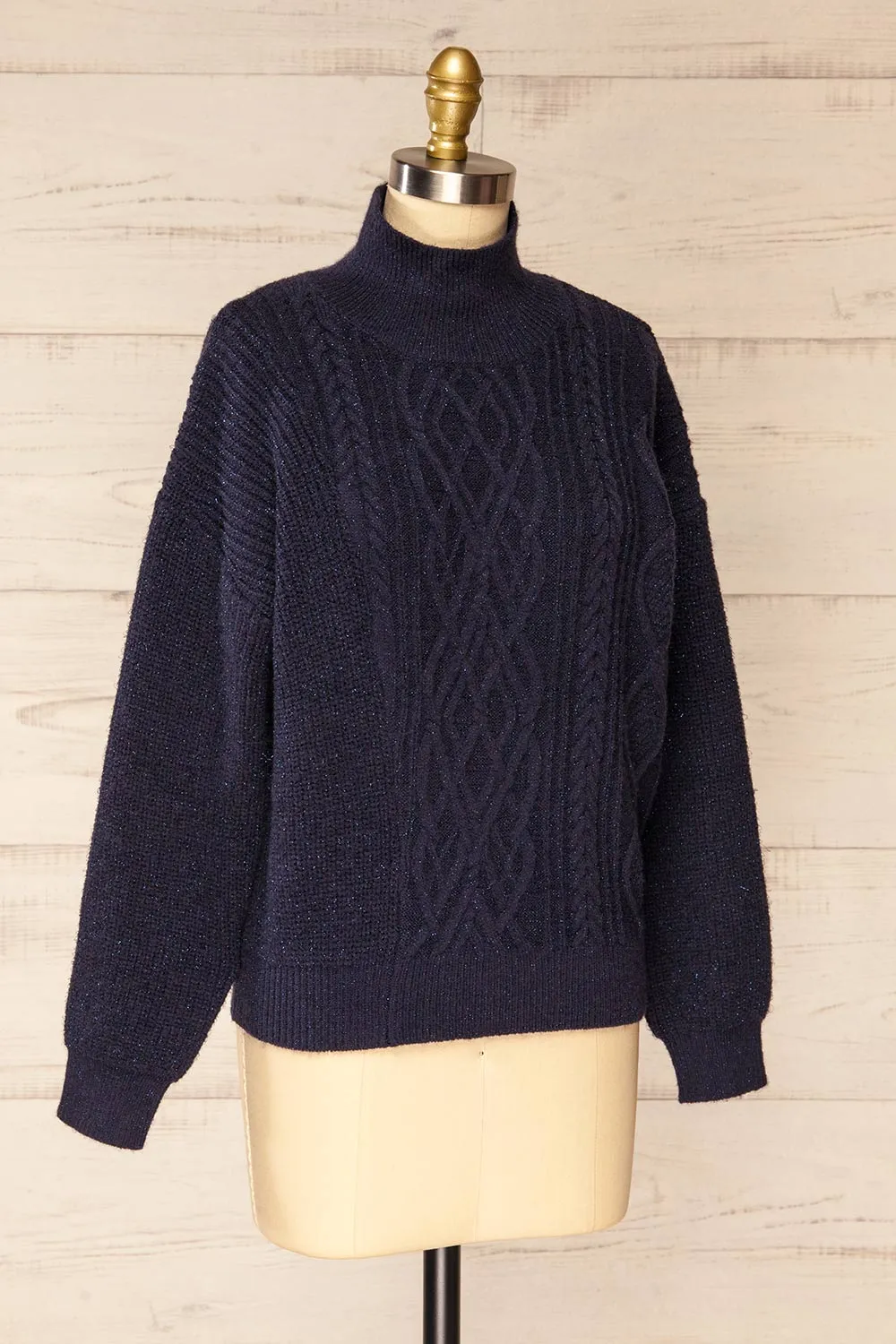 Waterbury | Sparkling Navy Turtleneck Sweater