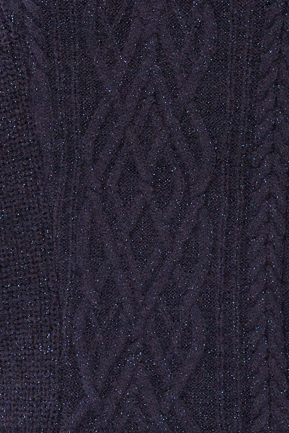 Waterbury | Sparkling Navy Turtleneck Sweater