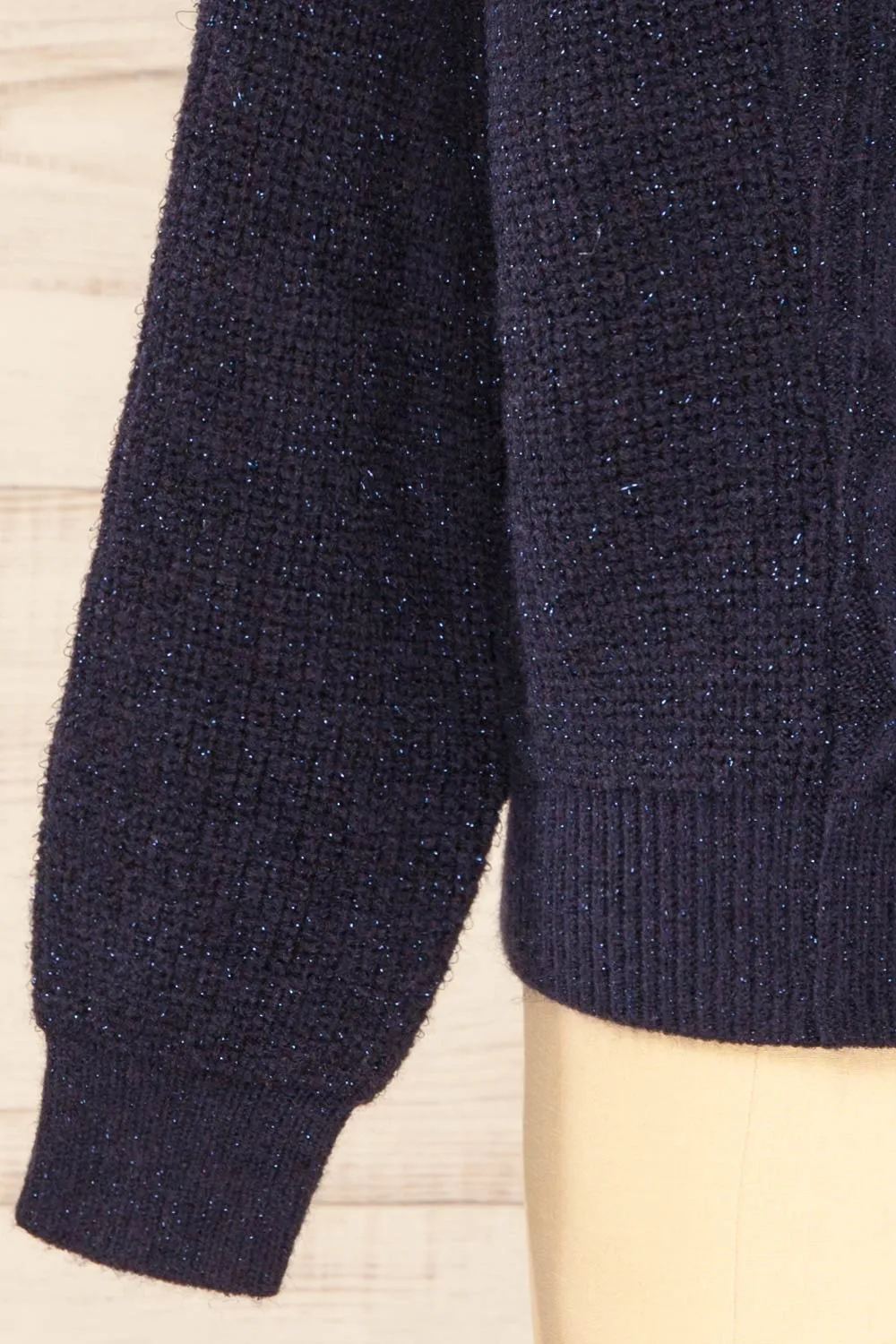 Waterbury | Sparkling Navy Turtleneck Sweater